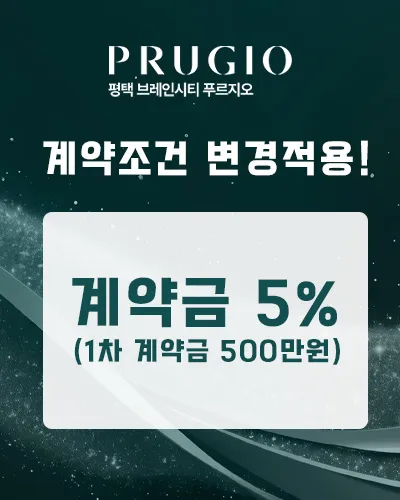 팝업이미지2